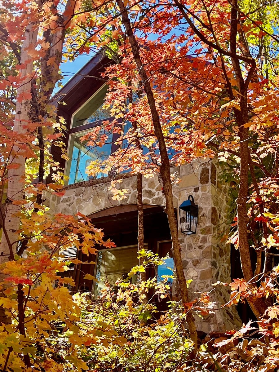 Featured image for Sundance Mountain Cabin: Utah Wedding Venue