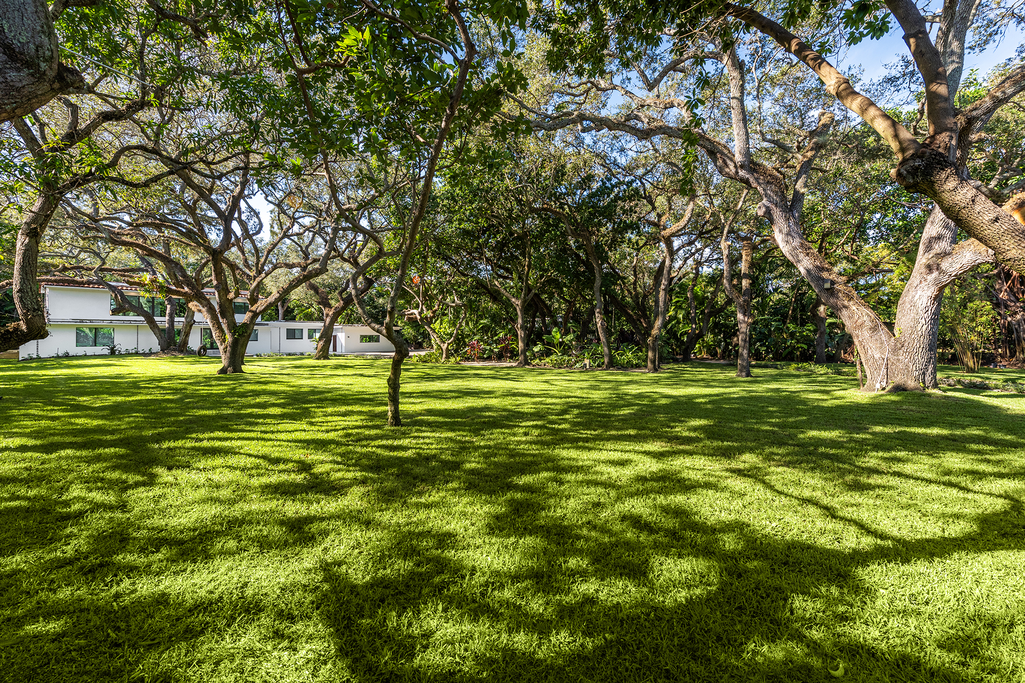 Event space at Modern Tropical Miami Villa with Expansive Lawn – Aventura / North Miami
