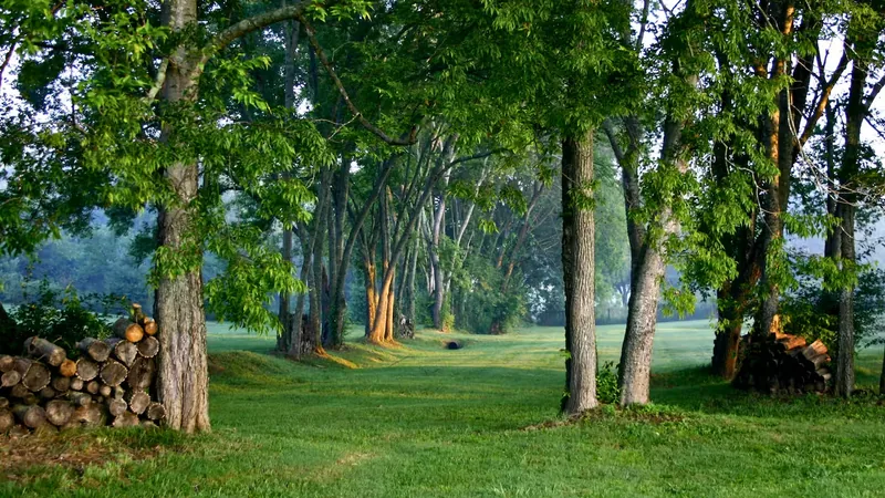 Event space at 14,000 Sq Ft Estate Near Nashville Event Barn, Rolling Hills
