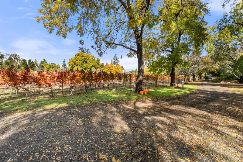 Event space at Napa Valley Victorian Vineyard Estate