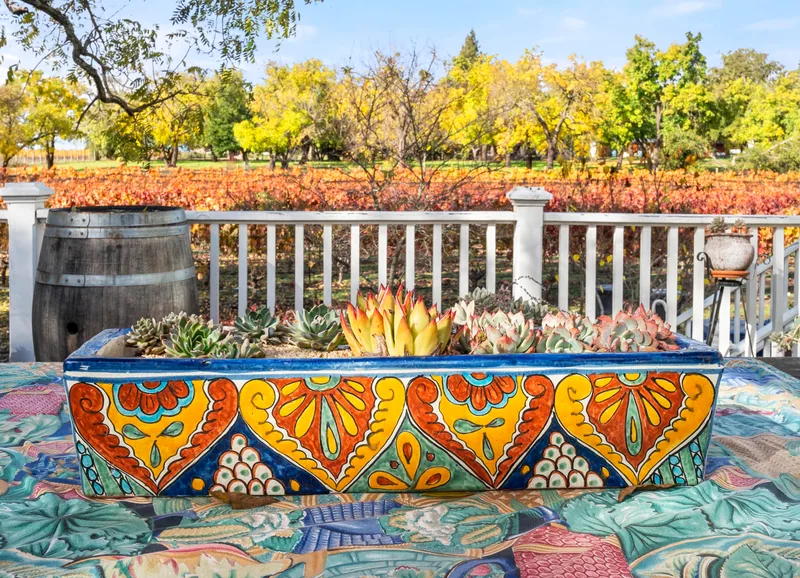 Event space at Napa Valley Victorian Vineyard Estate