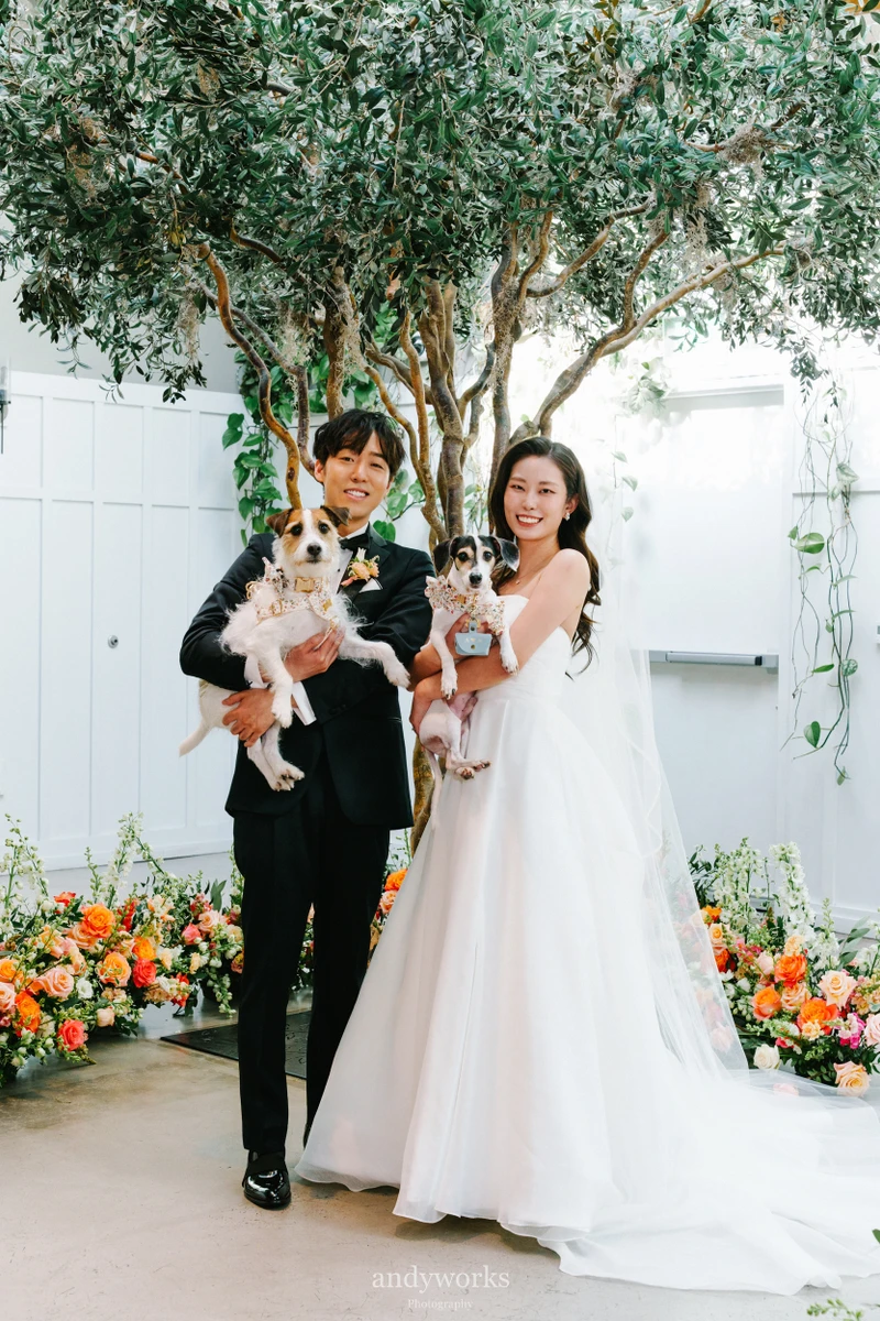 Precious Pet Care - Main Portfolio