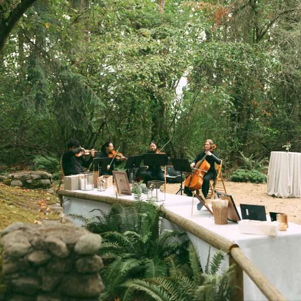 Innocenti Strings - Portfolio Photo 1