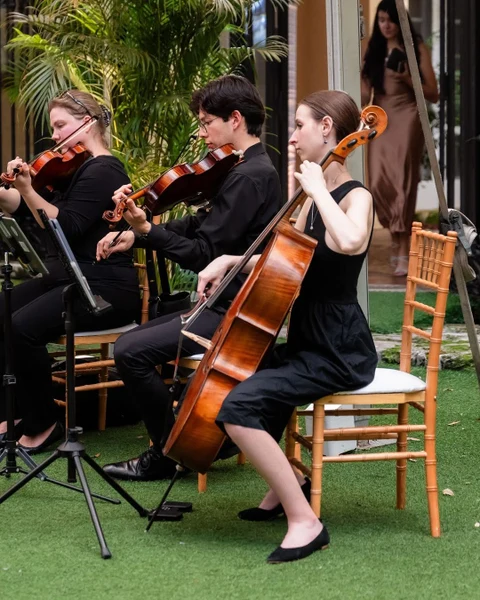 Innocenti Strings - Portfolio 4