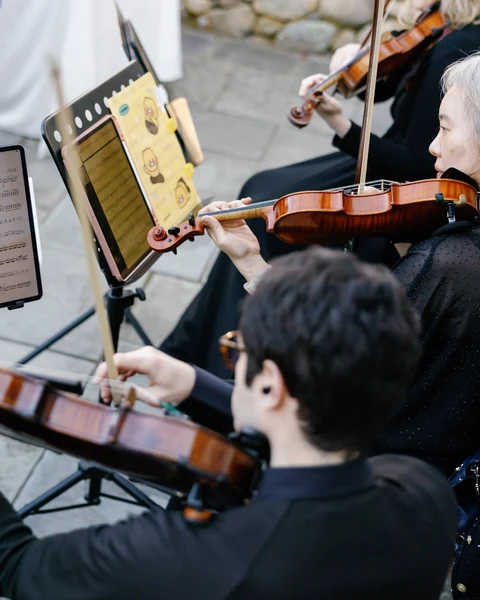 Innocenti Strings - Portfolio 5