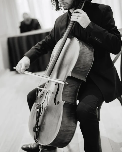Innocenti Strings - Portfolio 3