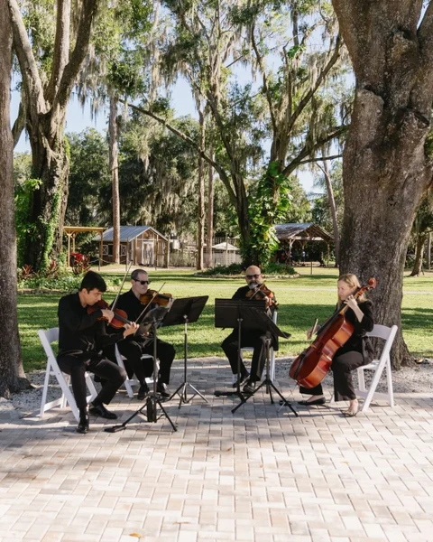 Innocenti Strings - Portfolio Photo 2