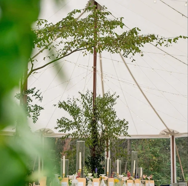 Windswept Entertainment & Event Rentals - Portfolio 4